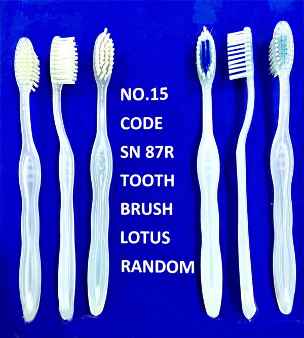 Hotel Dental Kit